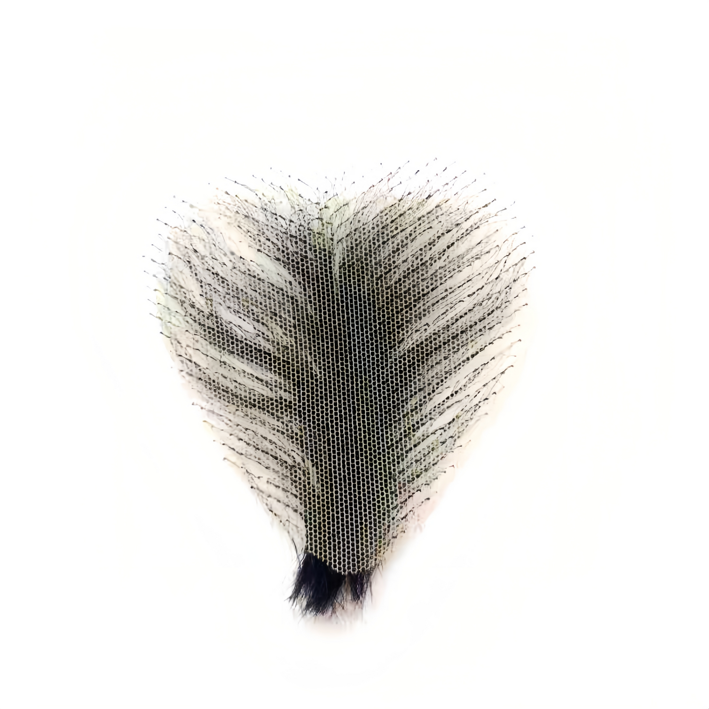 Pubic Hair Patch